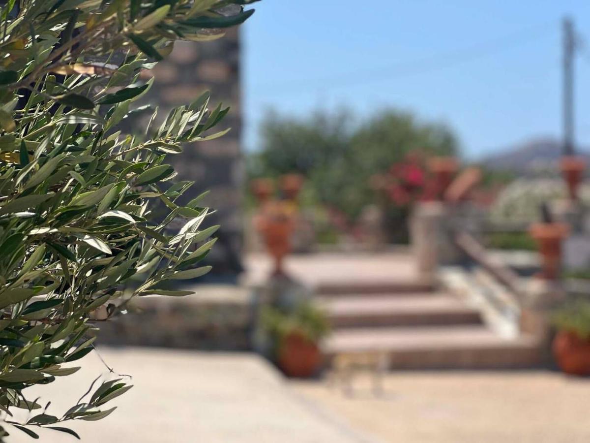 Πέτρινο Εξοχικό Σπίτι Στη Σύρο Agros  エクステリア 写真