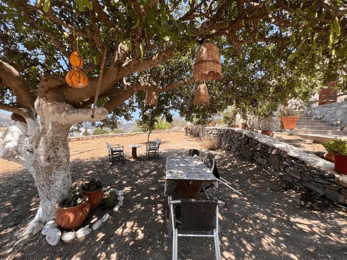 Πέτρινο Εξοχικό Σπίτι Στη Σύρο Agros  エクステリア 写真
