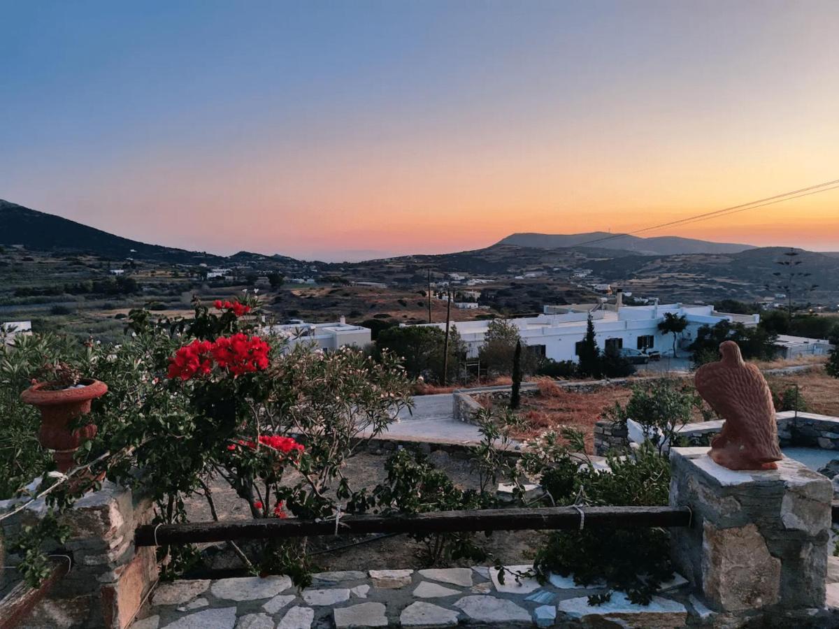 Πέτρινο Εξοχικό Σπίτι Στη Σύρο Agros  エクステリア 写真